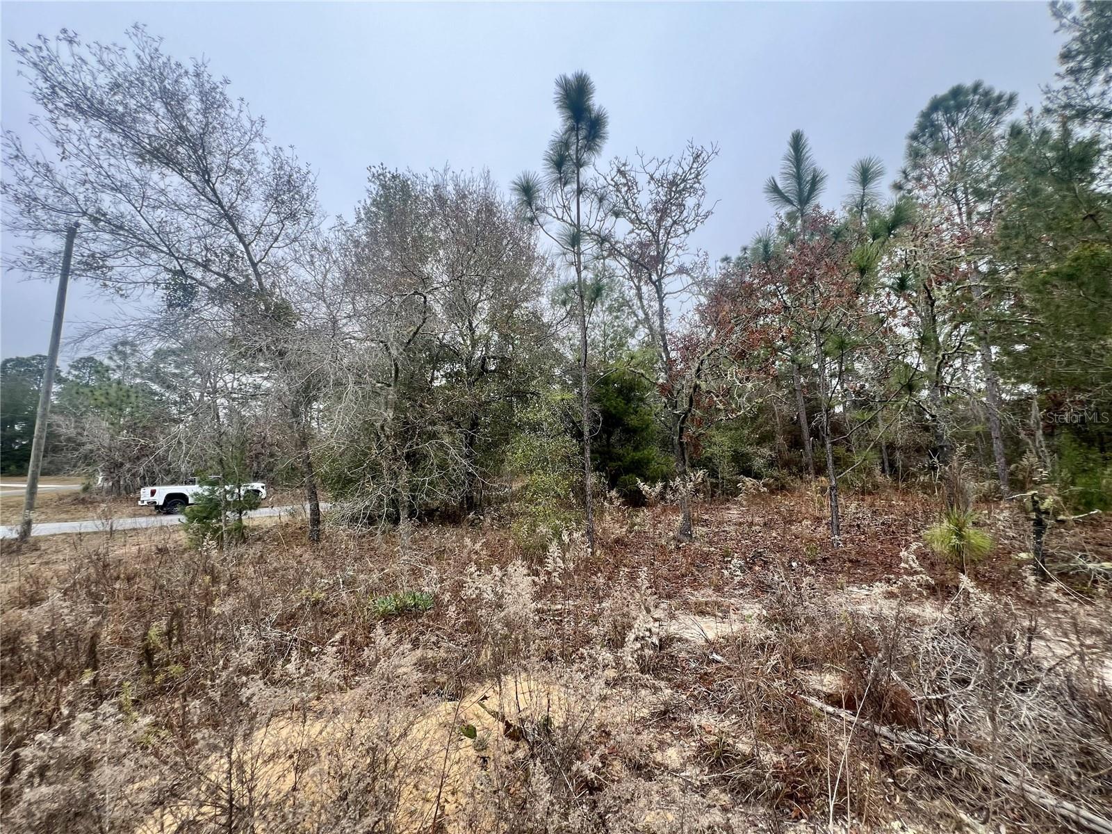 Listing photo id 10 for 7983 Jamaica Drive