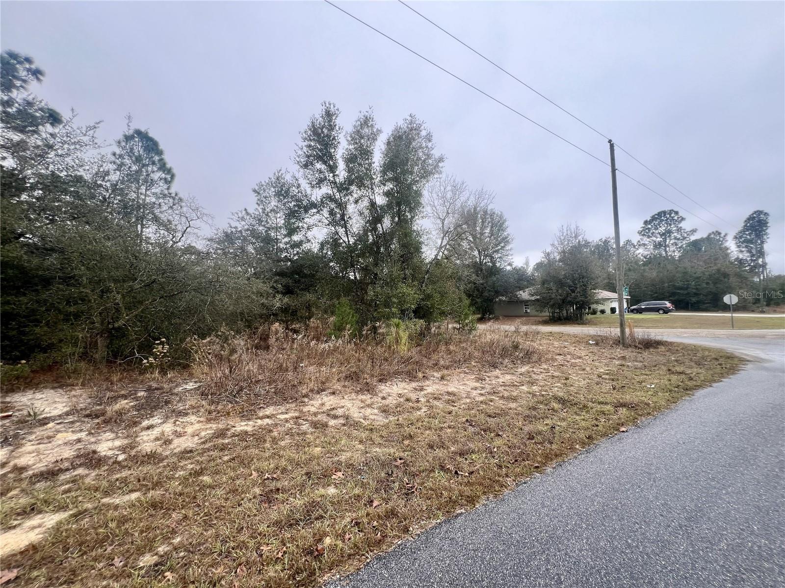 Listing photo id 13 for 7983 Jamaica Drive