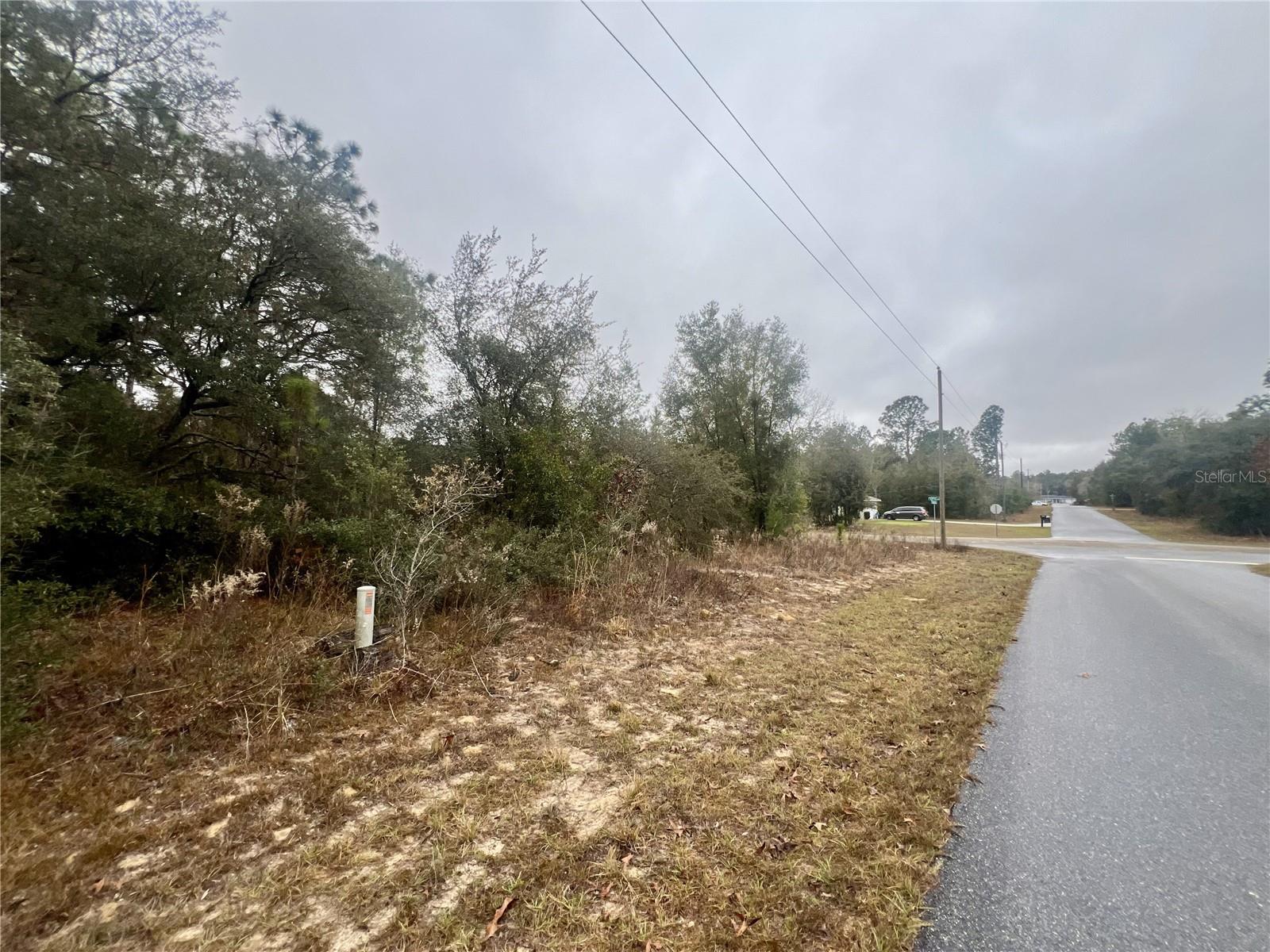 Listing photo id 16 for 7983 Jamaica Drive