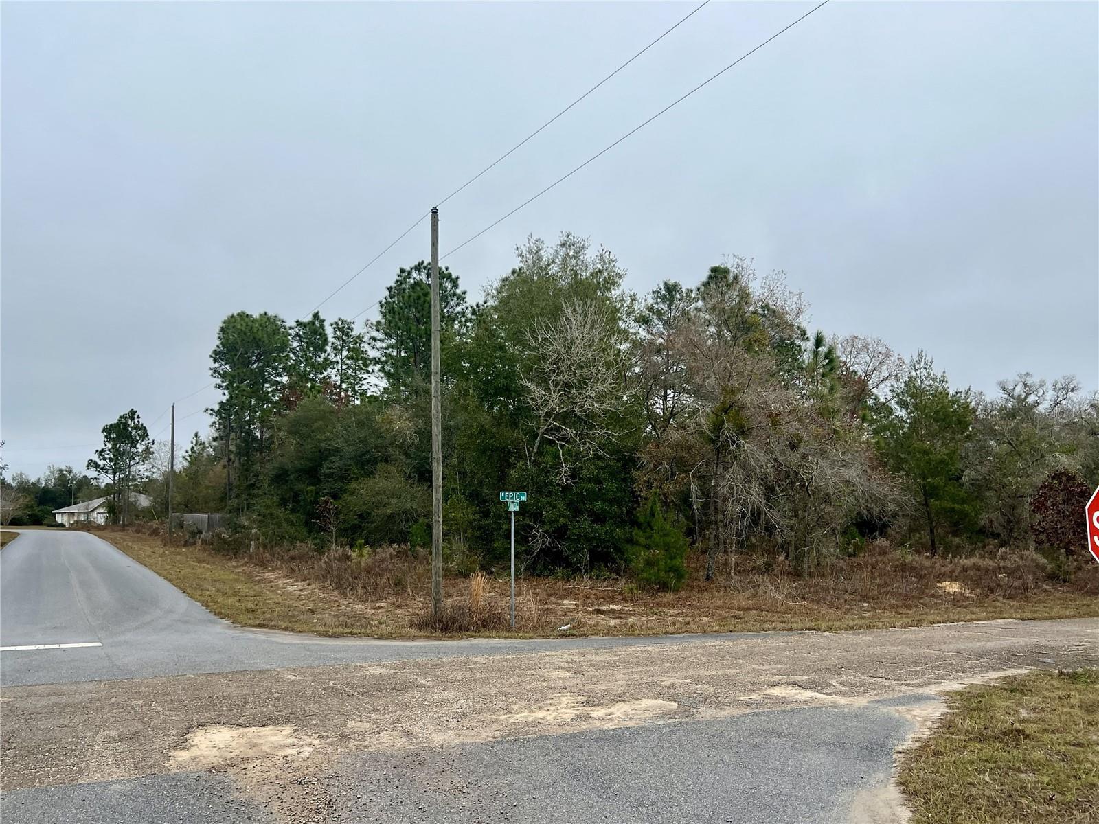 Listing photo id 4 for 7983 Jamaica Drive