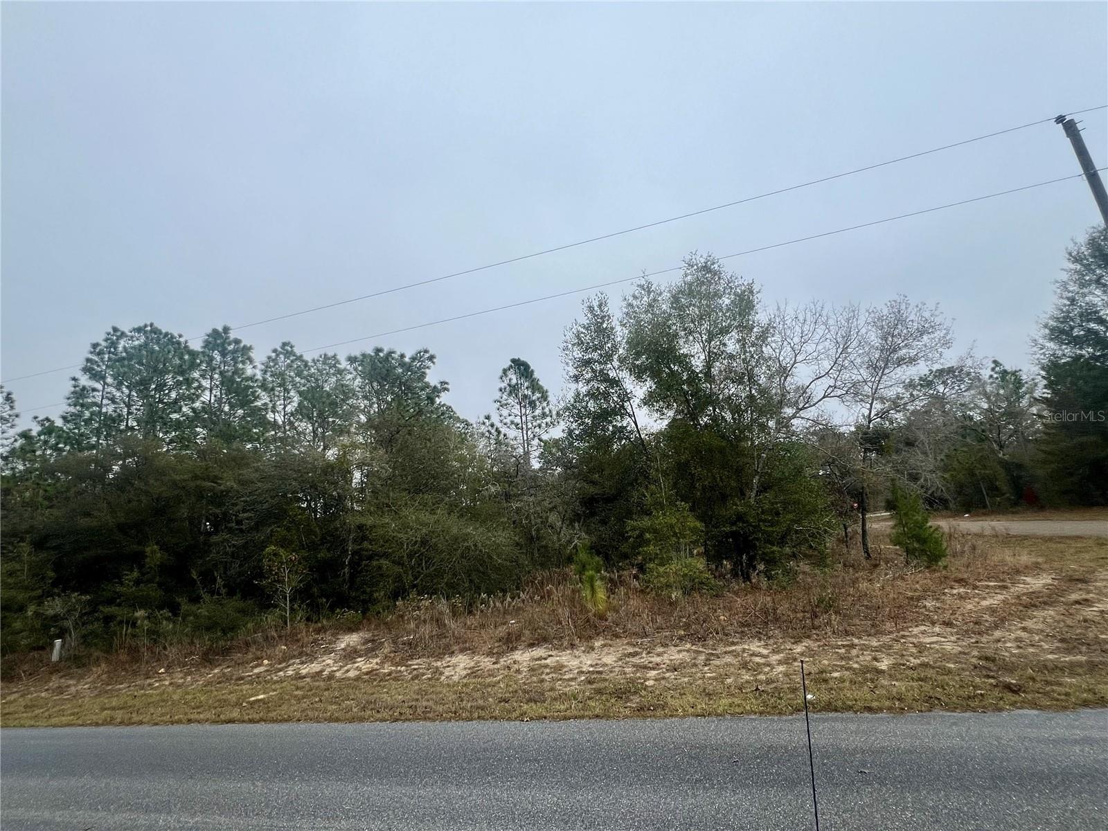 Listing photo id 5 for 7983 Jamaica Drive