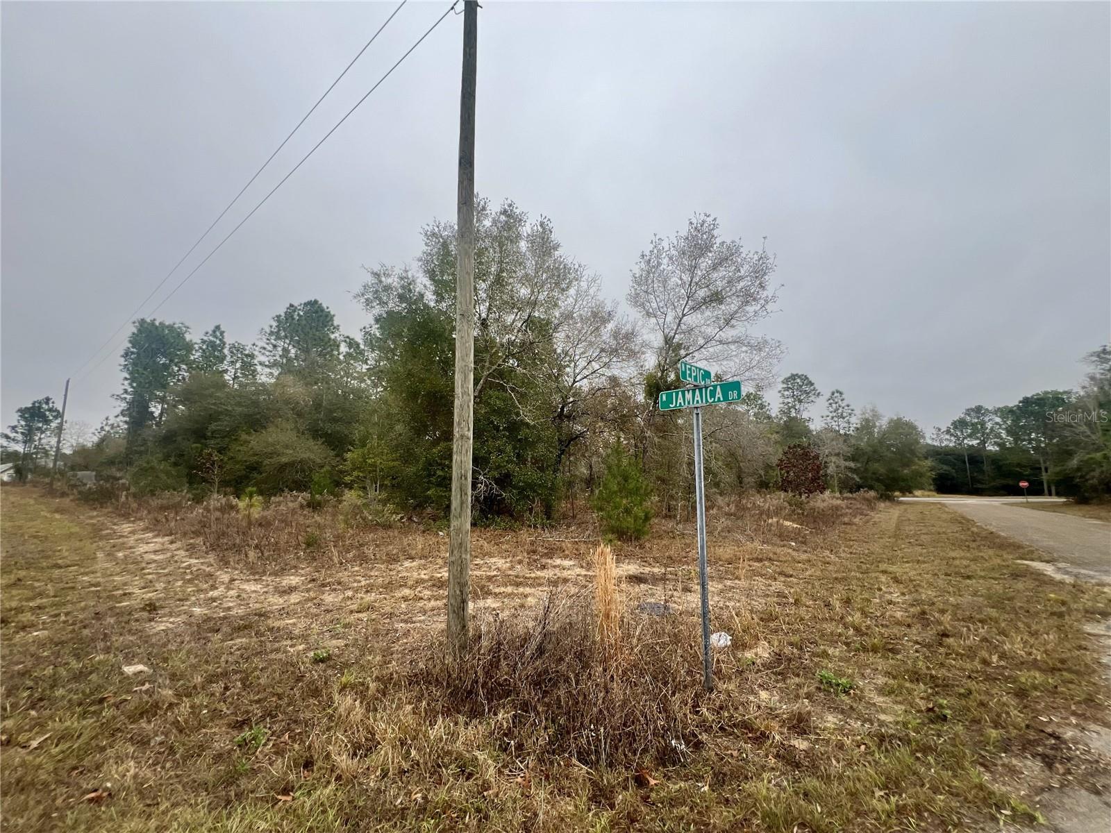 Listing photo id 6 for 7983 Jamaica Drive