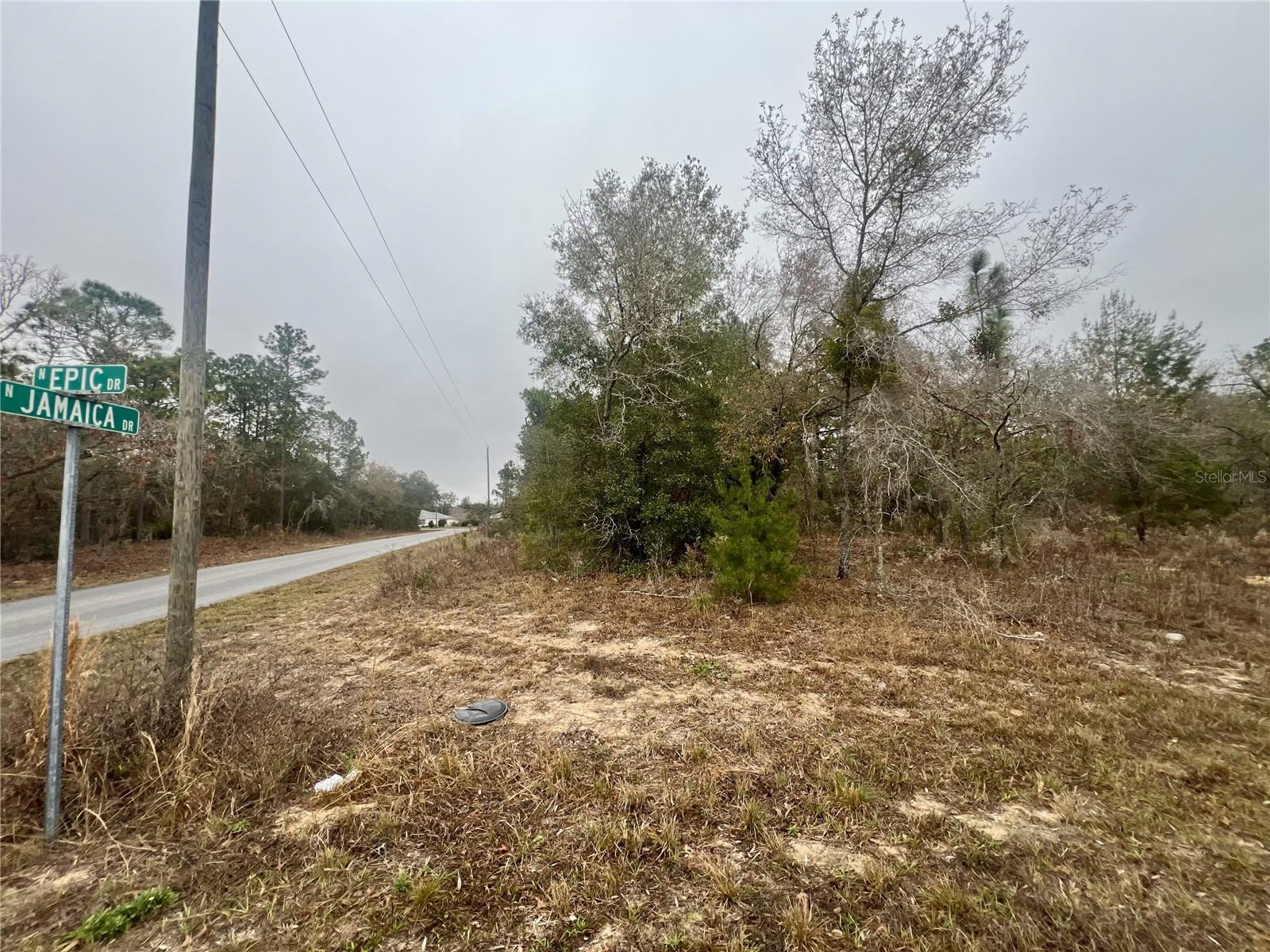 Listing photo id 7 for 7983 Jamaica Drive