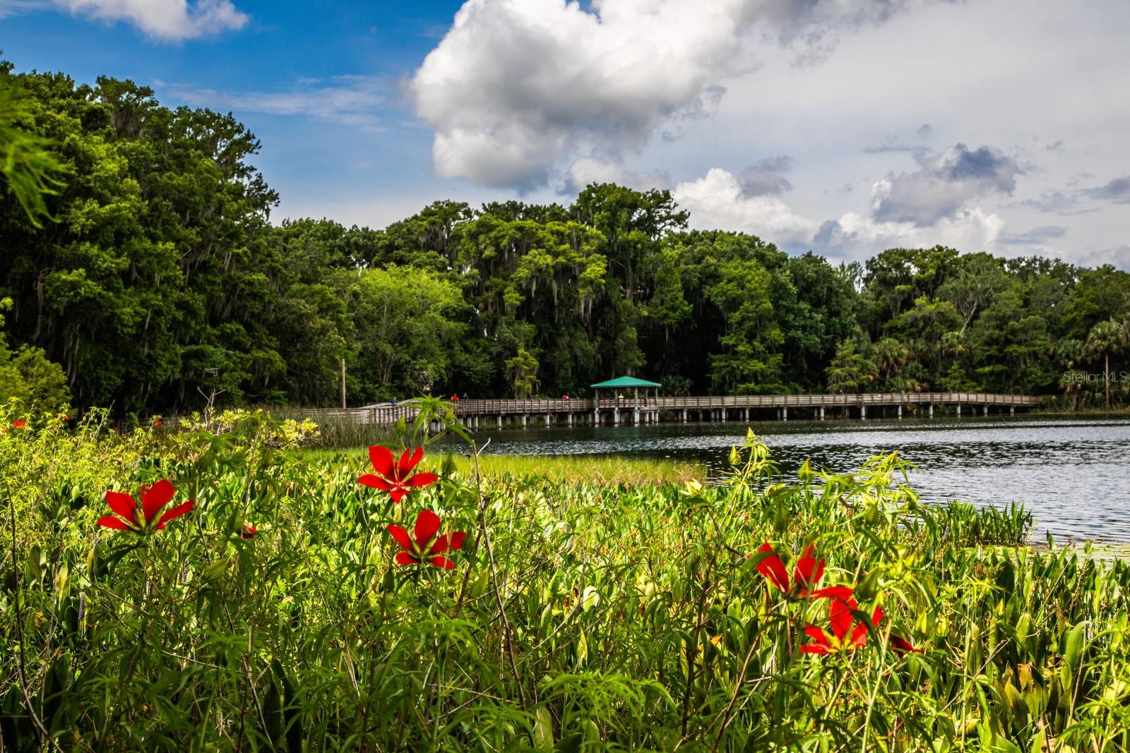 Image 58 of 65 For 936 Baker Street