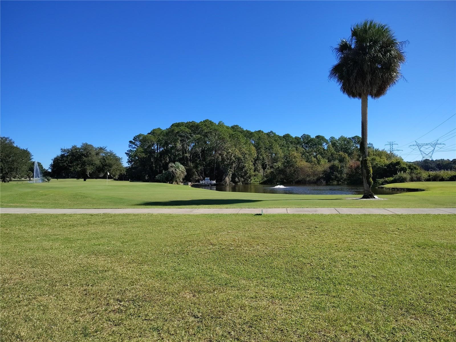 Image 33 of 37 For 116 Lyonia Lane