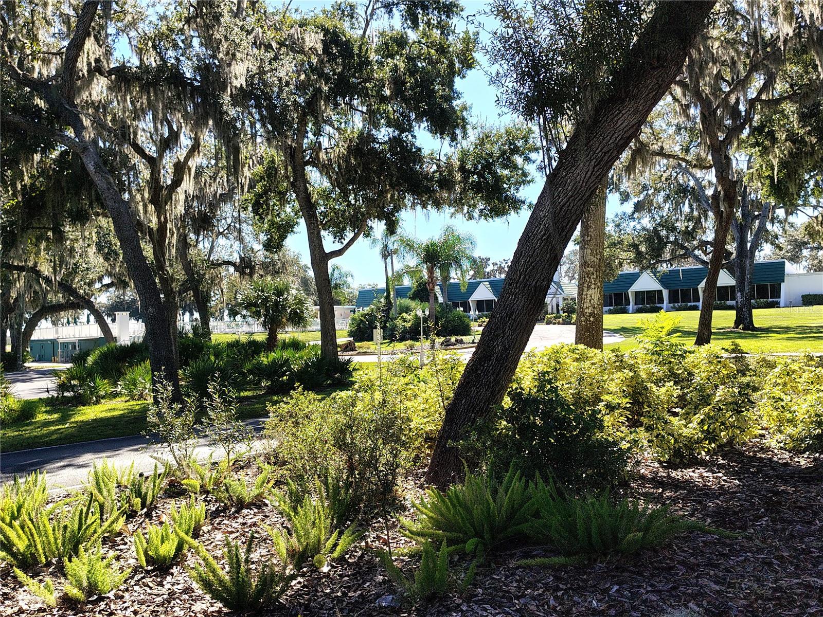 Image 36 of 37 For 116 Lyonia Lane