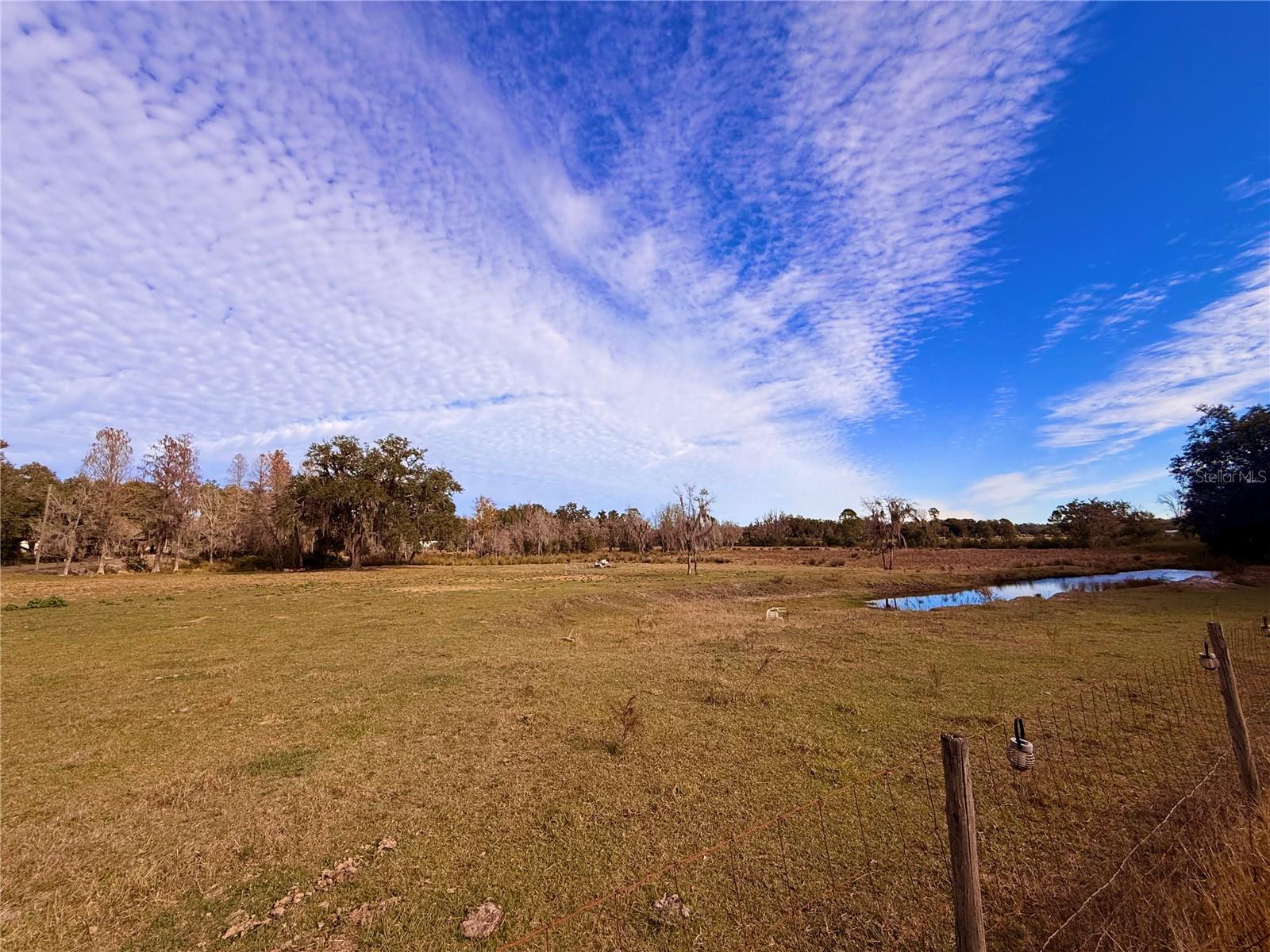 Image 18 of 24 For 13942 Mascotte Empire Road