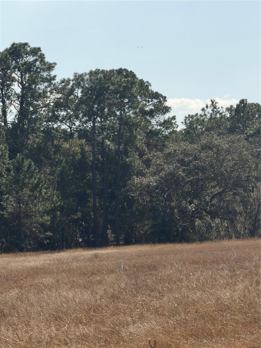 Image 2 of 13 For  Lake Erie  