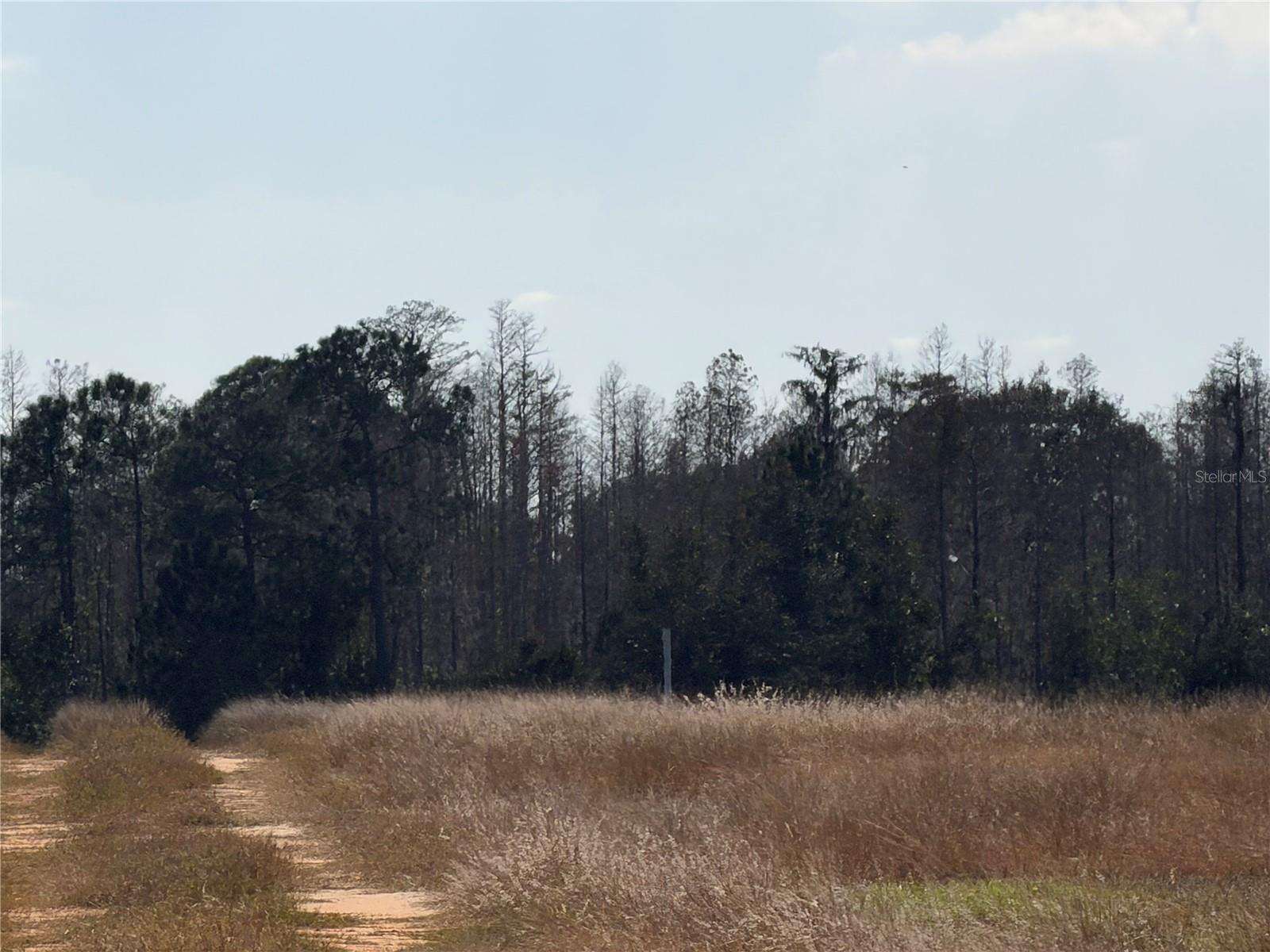 Image 5 of 13 For  Lake Erie  