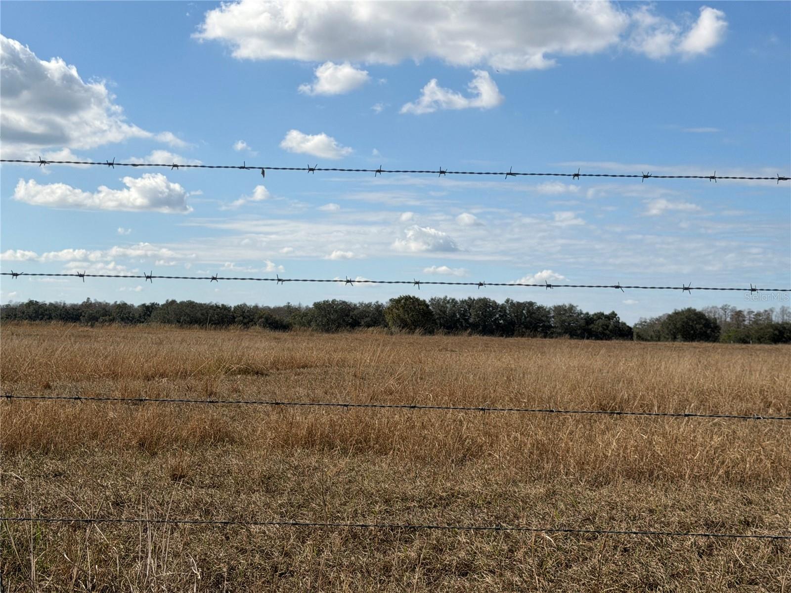 Image 6 of 7 For Lake Erie Road