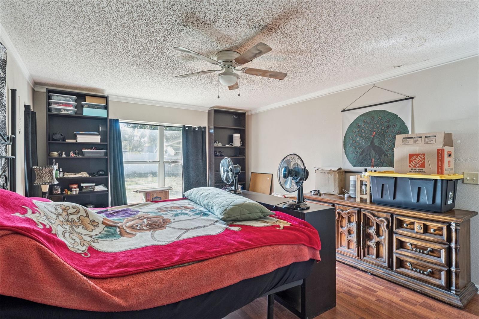 Image 13 of 17 For 13031 Scottish Pine Lane