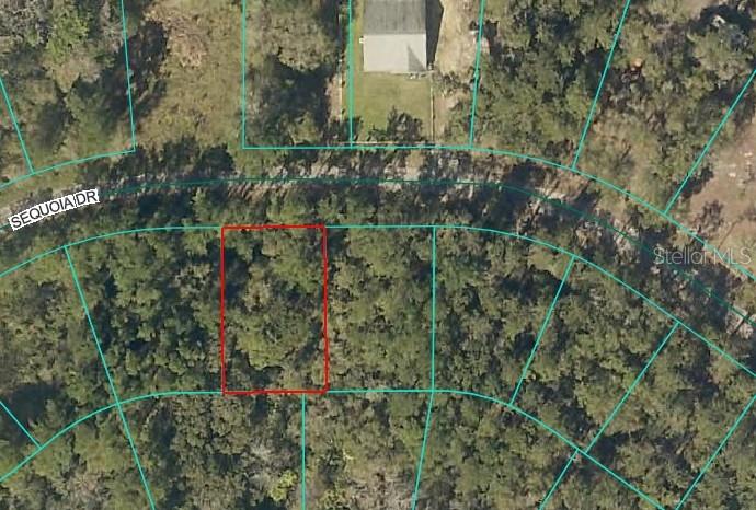 Details for Sequoia Drive, OCKLAWAHA, FL 32179