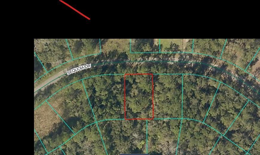 Image 2 of 5 For Sequoia Drive