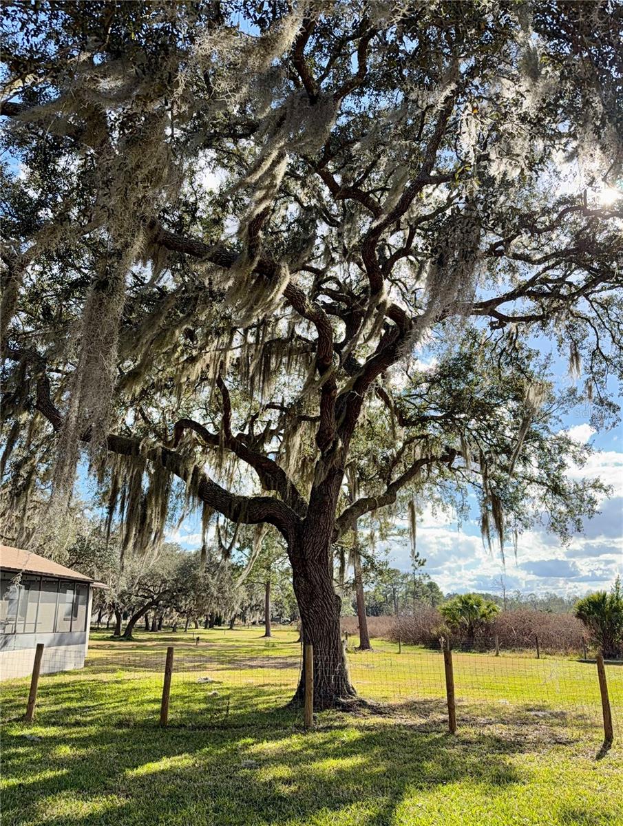 Image 55 of 60 For 41041 Whilden Lane