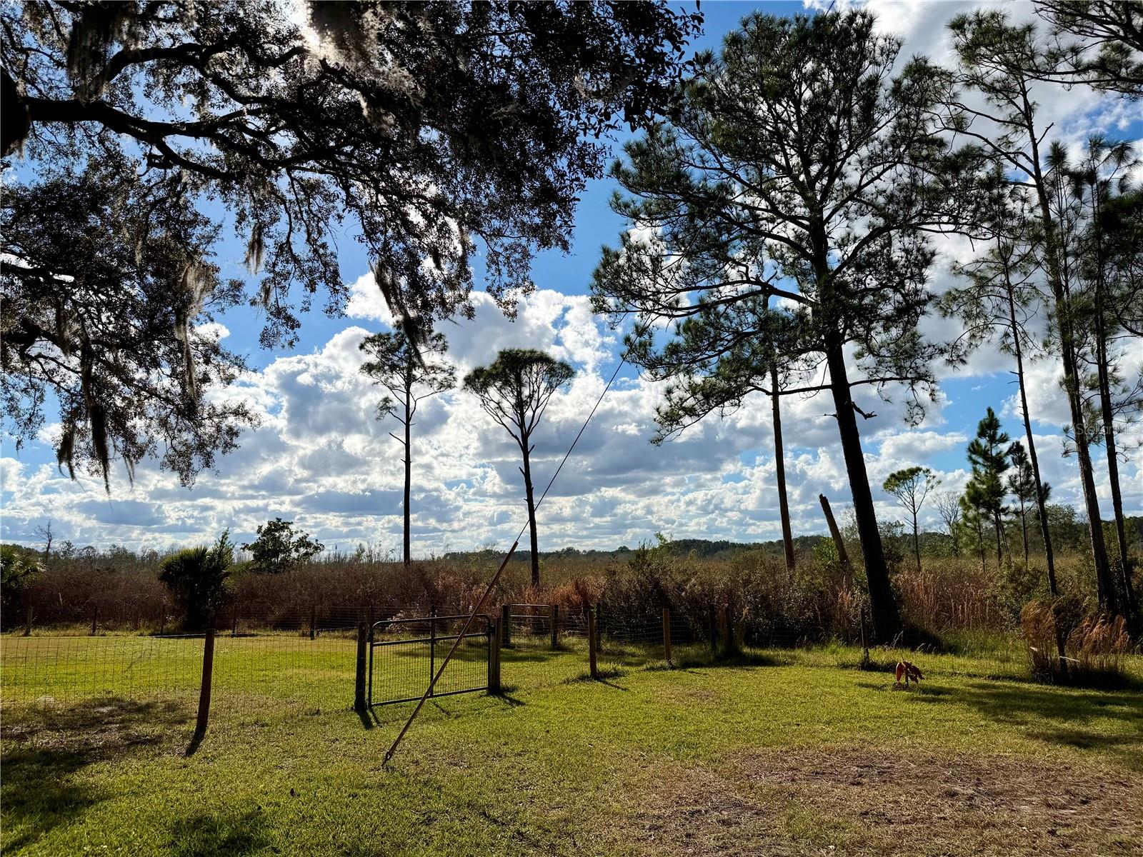 Image 56 of 60 For 41041 Whilden Lane