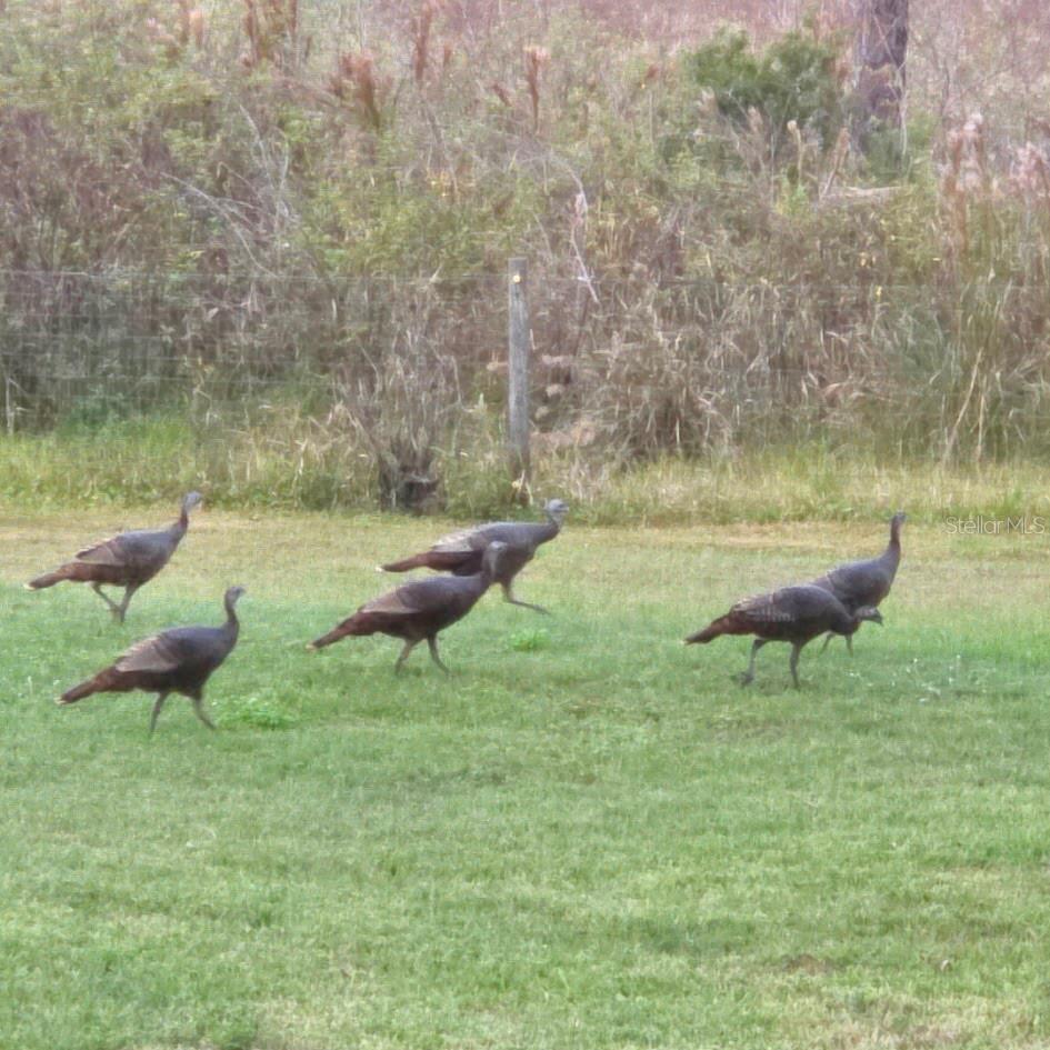 Image 59 of 60 For 41041 Whilden Lane