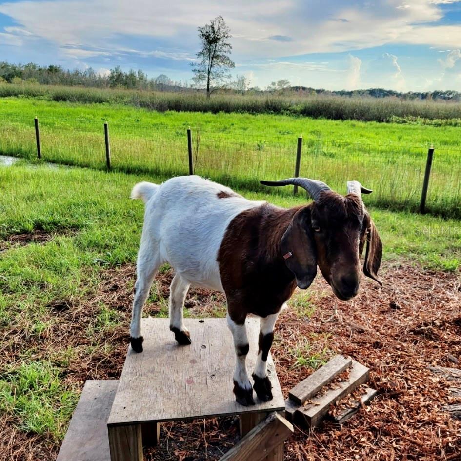 Image 60 of 60 For 41041 Whilden Lane