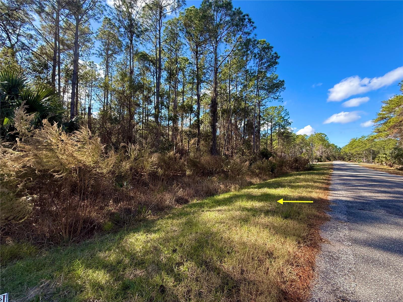 Details for Lot 15 Apricot Avenue, EUSTIS, FL 32736