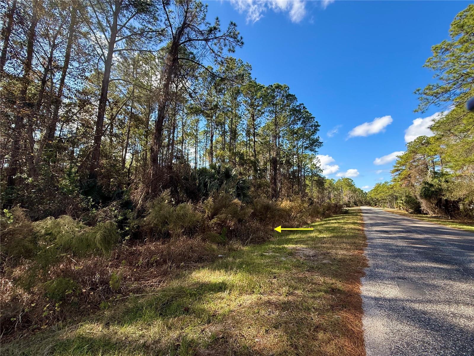 Image 17 of 32 For Lot 15 Apricot Avenue