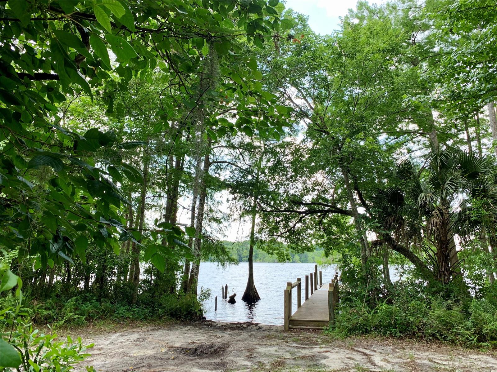 Image 30 of 32 For Lot 15 Apricot Avenue