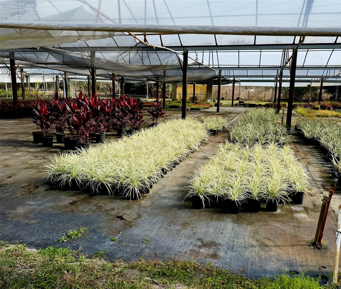 Image 10 of 24 For 23010 Wolf Branch Road