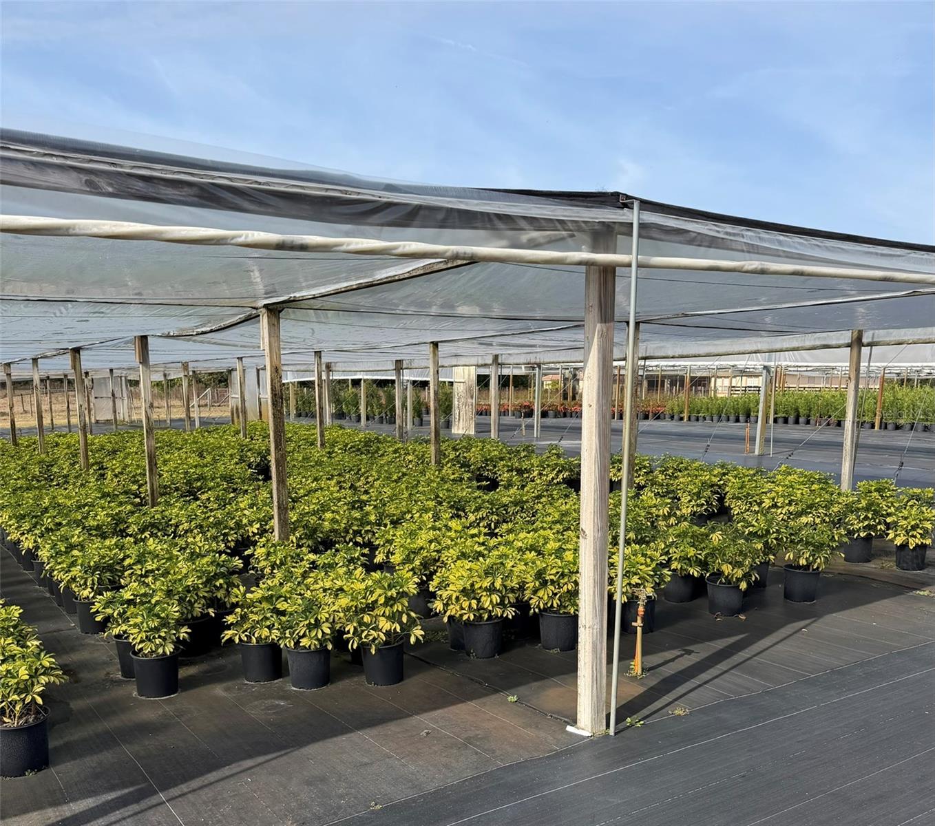 Image 11 of 24 For 23010 Wolf Branch Road