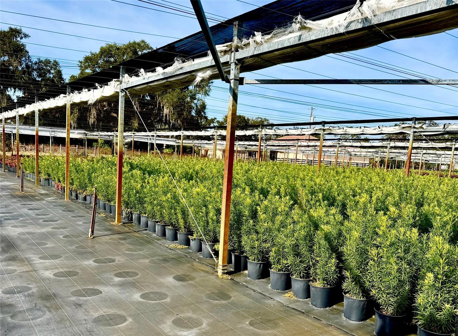 Image 12 of 24 For 23010 Wolf Branch Road