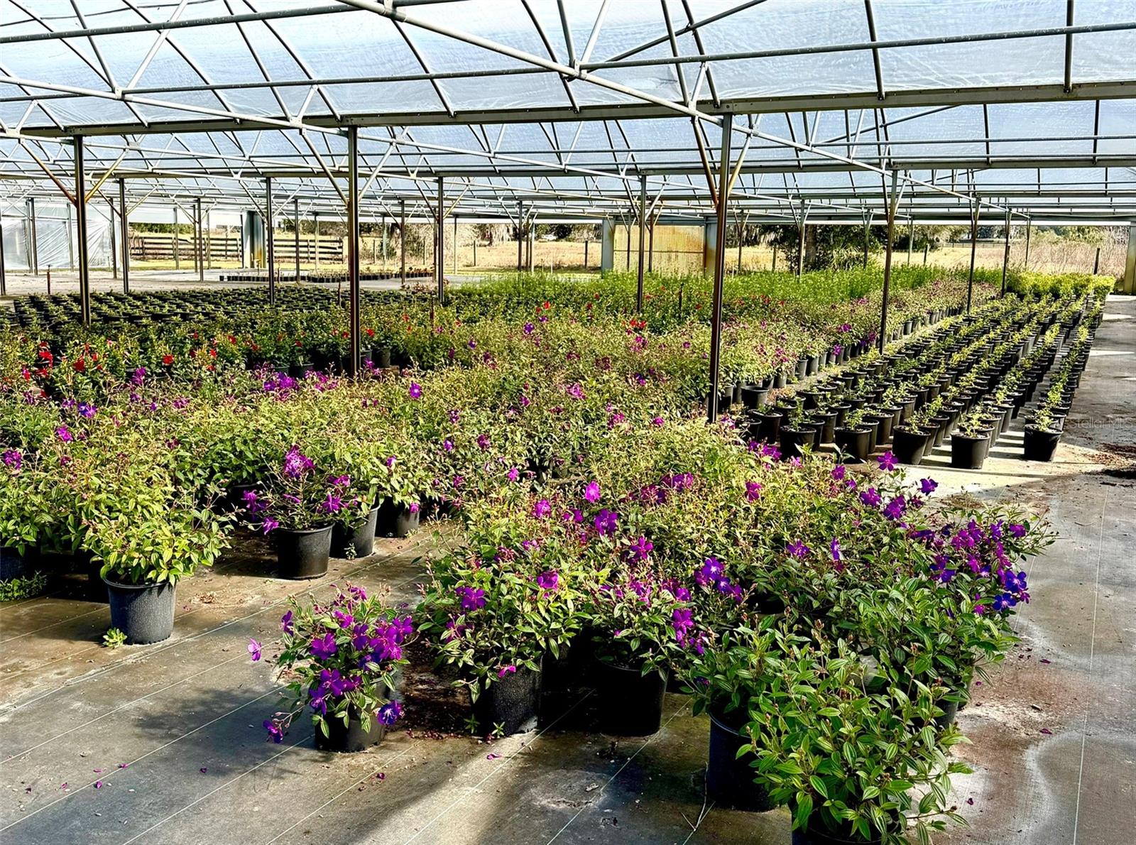 Image 13 of 24 For 23010 Wolf Branch Road