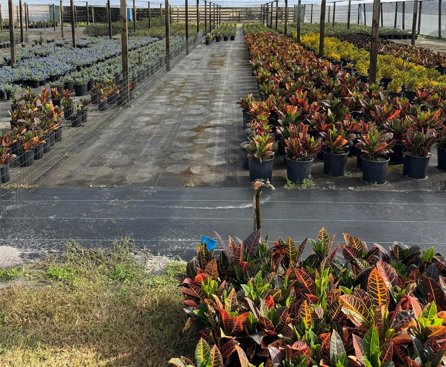 Image 16 of 24 For 23010 Wolf Branch Road