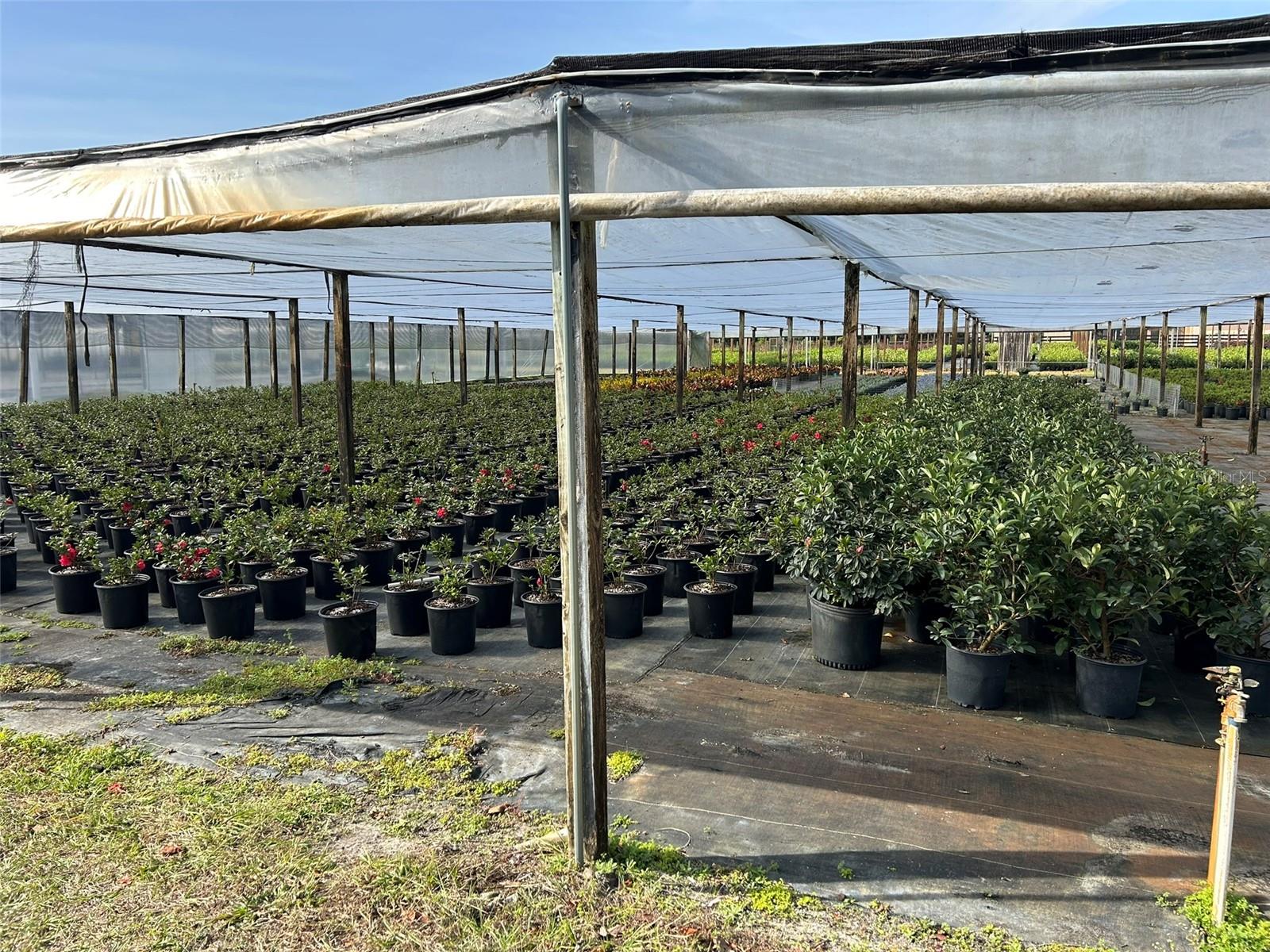 Image 17 of 24 For 23010 Wolf Branch Road