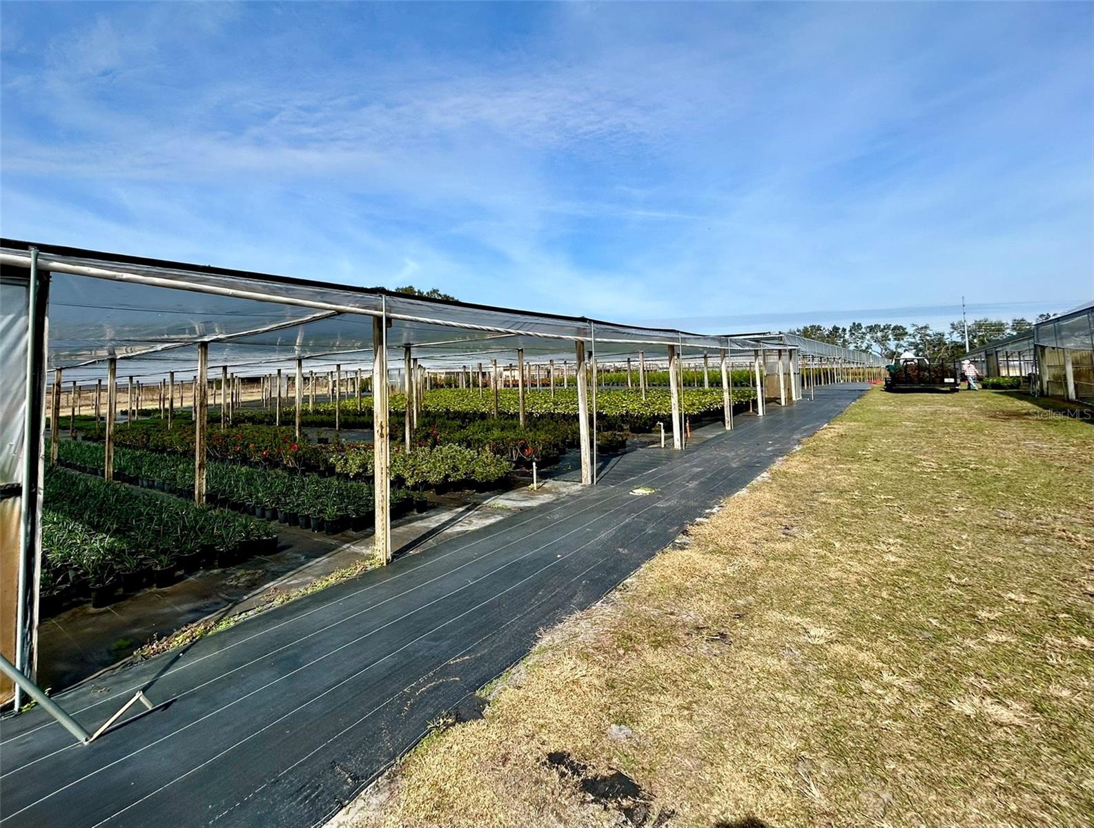 Image 18 of 24 For 23010 Wolf Branch Road