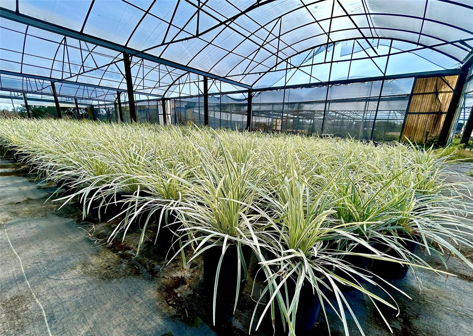 Image 19 of 24 For 23010 Wolf Branch Road