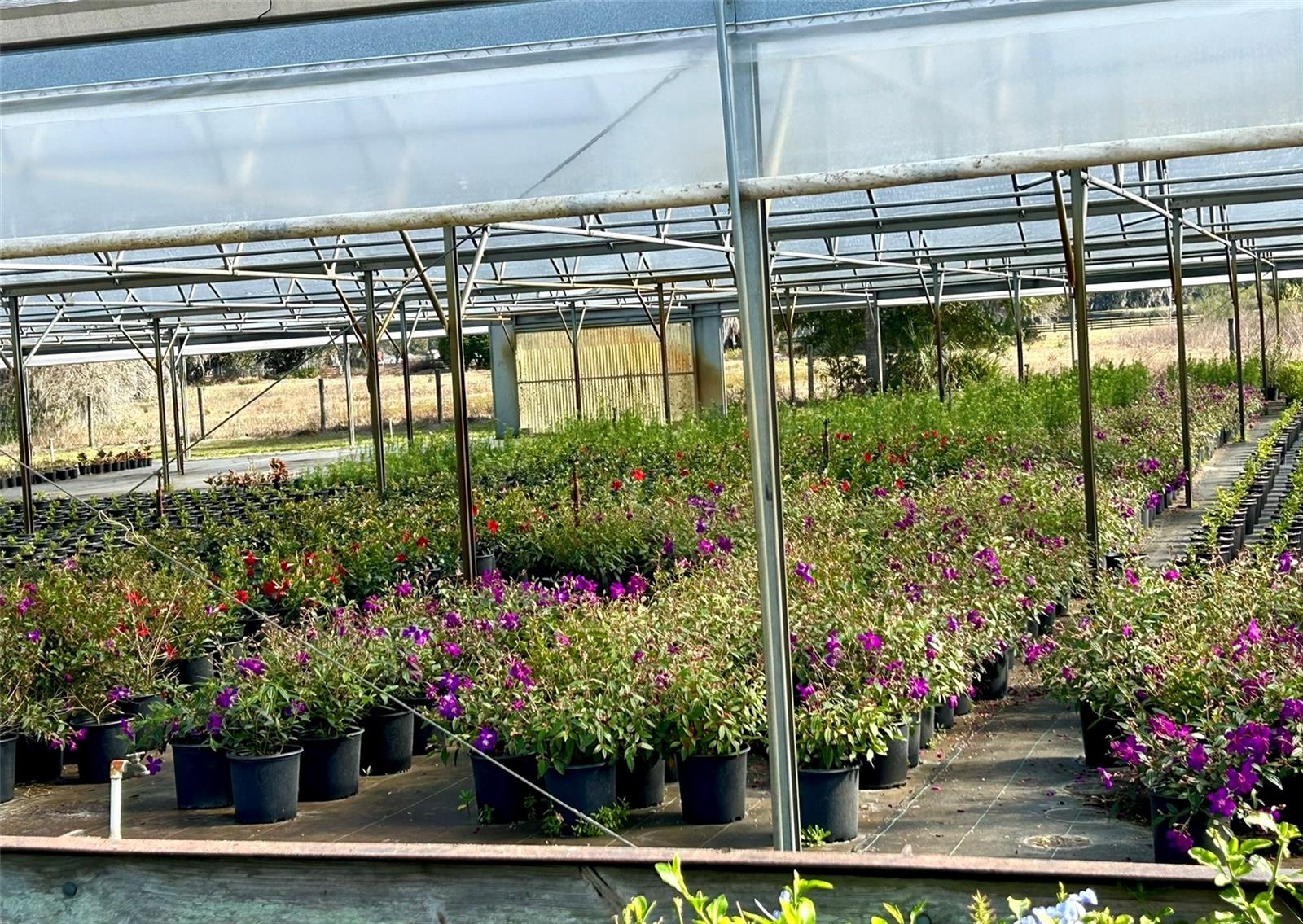 Image 20 of 24 For 23010 Wolf Branch Road