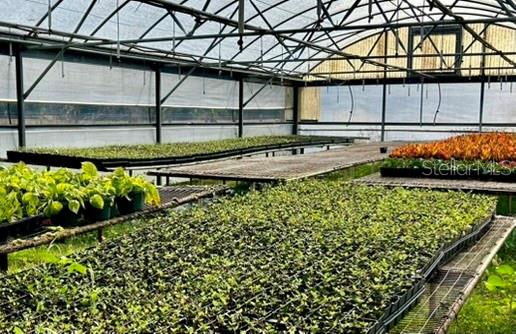 Image 21 of 24 For 23010 Wolf Branch Road