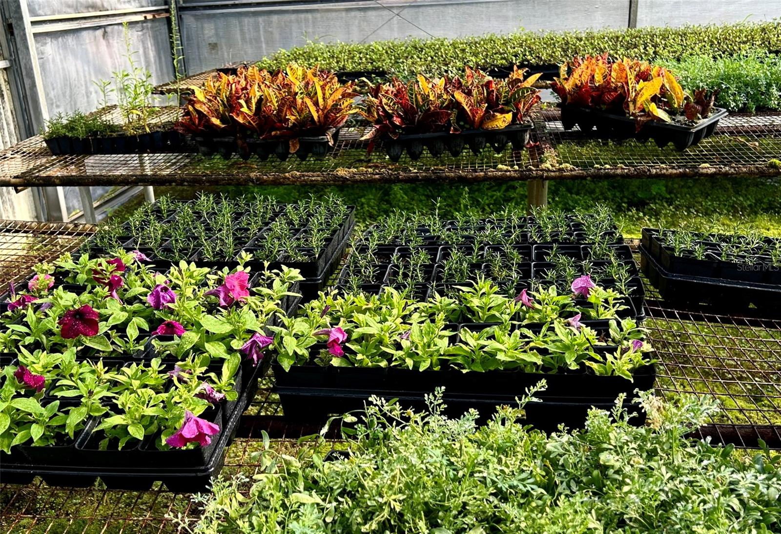 Image 22 of 24 For 23010 Wolf Branch Road