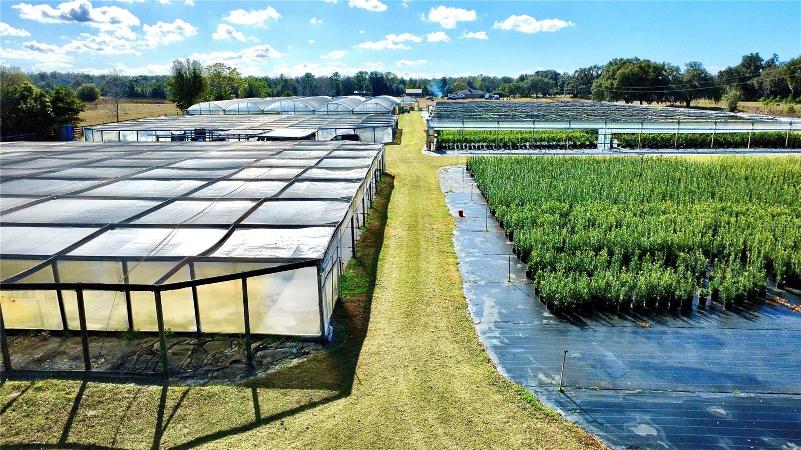 Image 8 of 24 For 23010 Wolf Branch Road