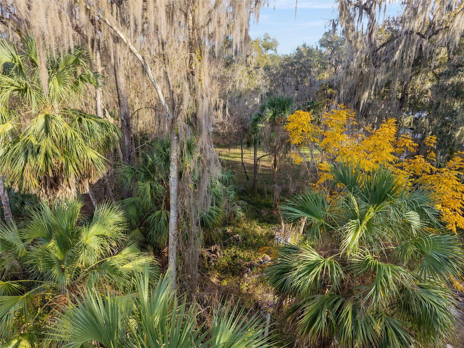 Image 73 of 81 For 3809 Cr 405n