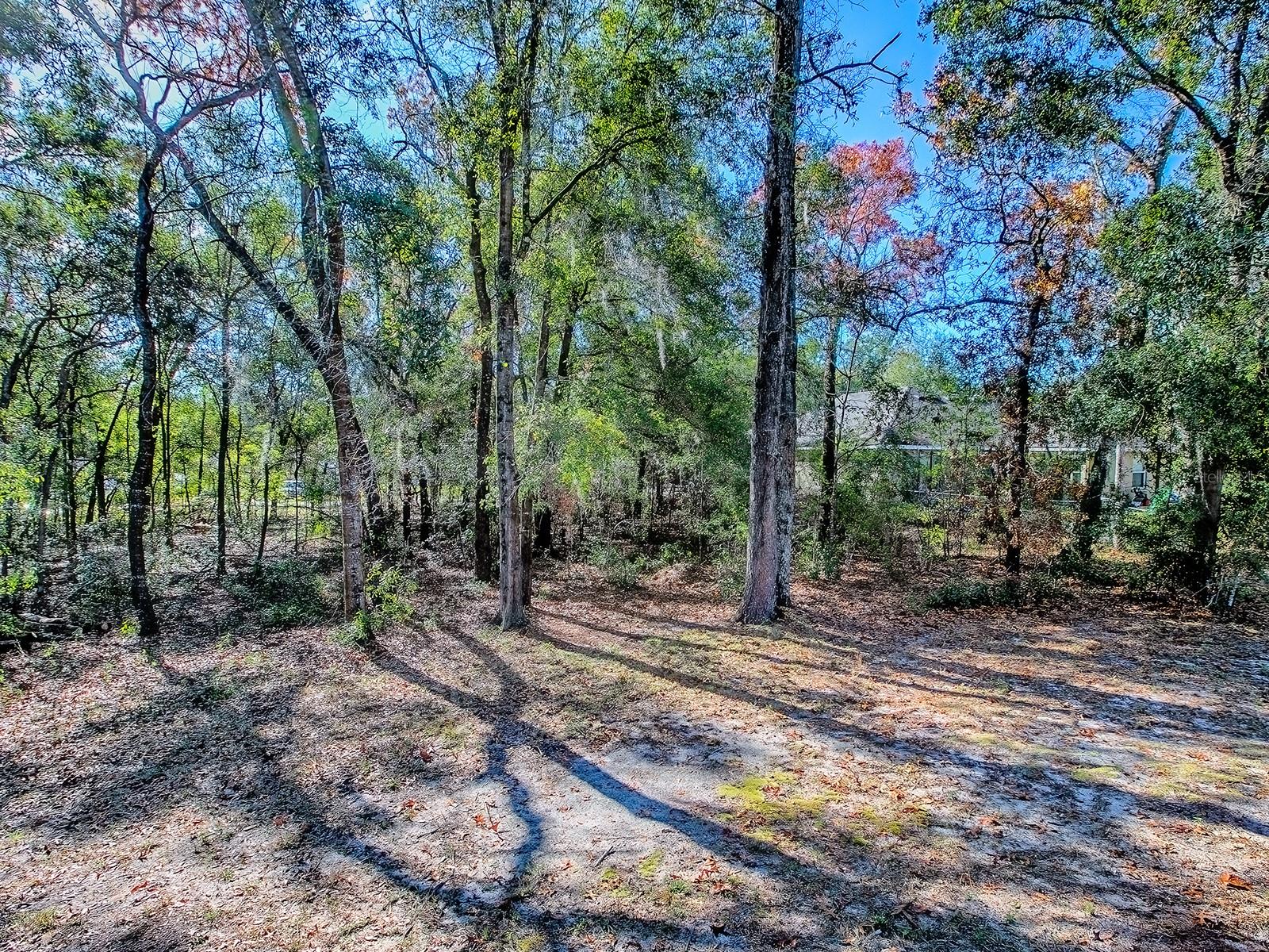 Image 31 of 41 For 8686 158th Street