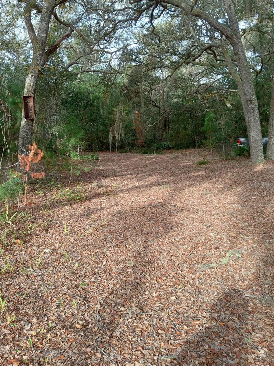 Image 4 of 9 For 28093 Highway 42