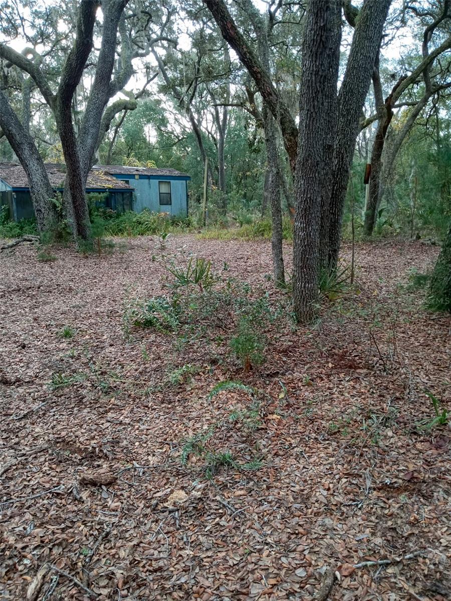 Image 5 of 9 For 28093 Highway 42