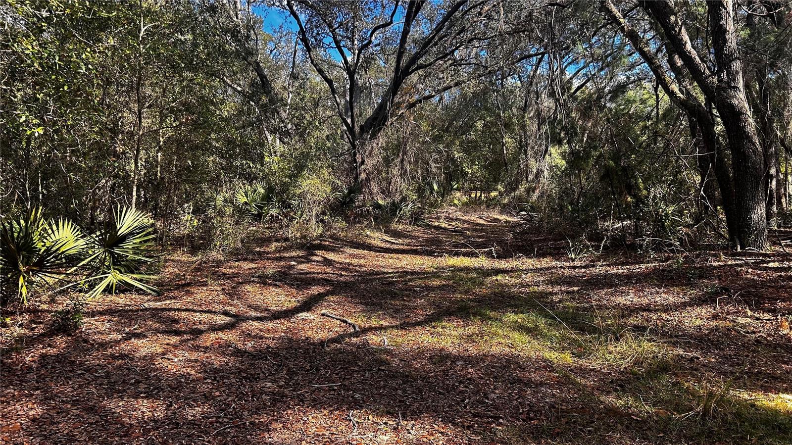 Image 6 of 9 For 28093 Highway 42