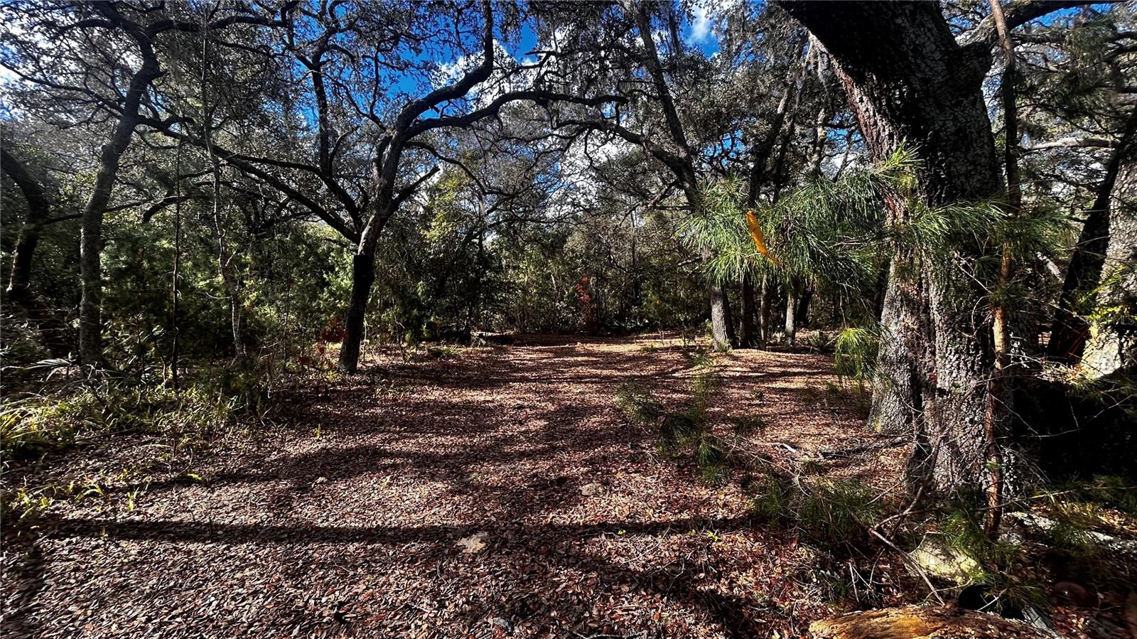 Image 8 of 9 For 28093 Highway 42