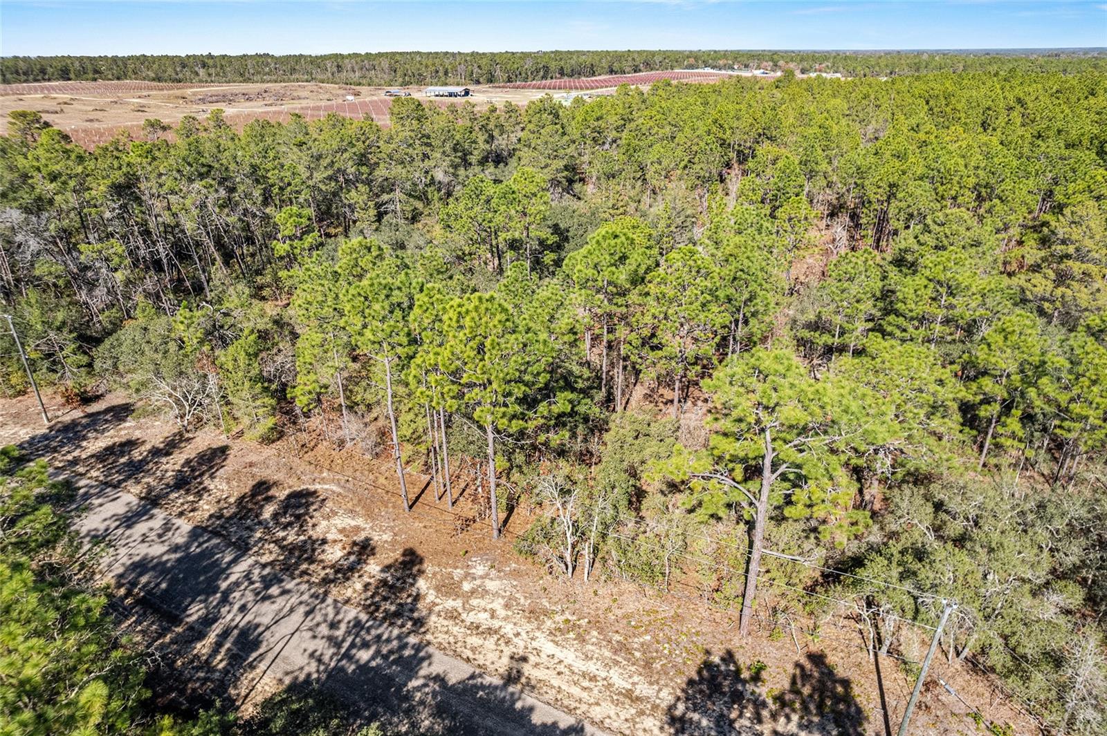 Image 2 of 6 For 8949 Farrington Drive