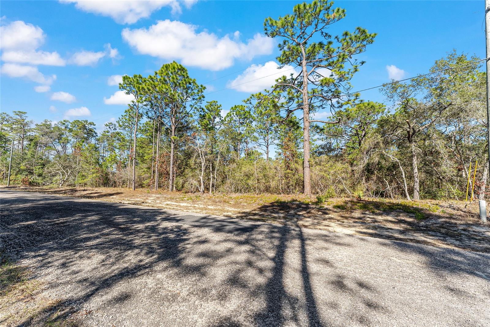 Image 4 of 6 For 8949 Farrington Drive