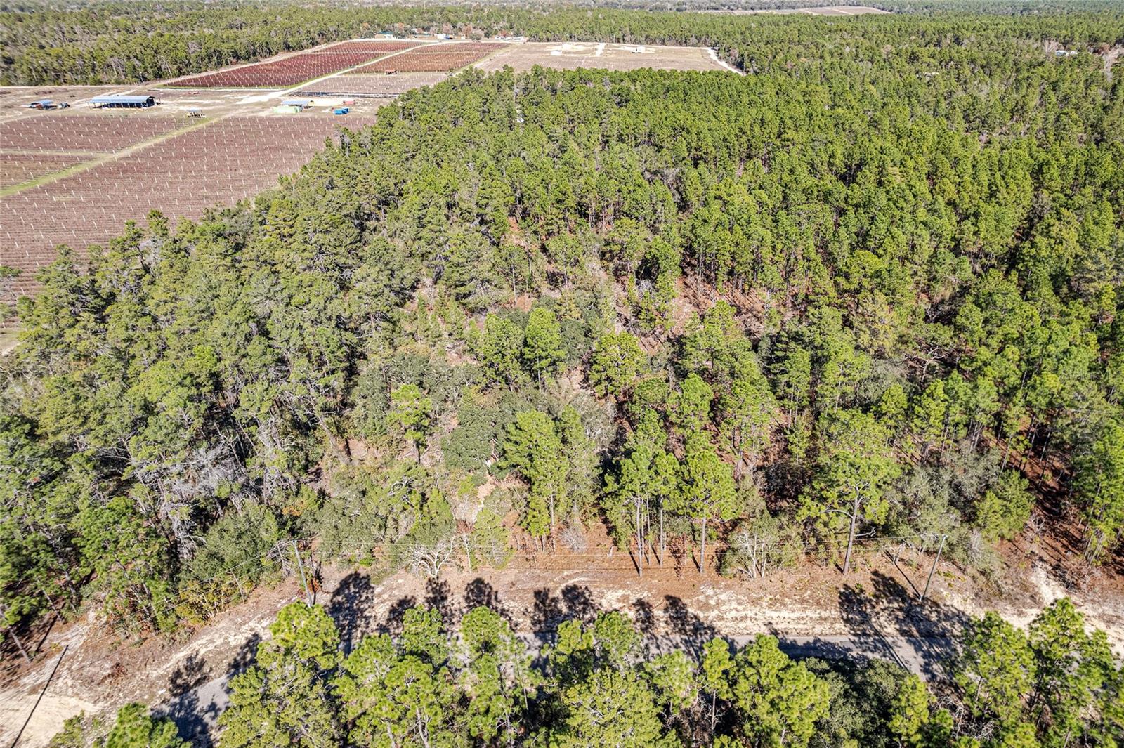 Image 5 of 6 For 8949 Farrington Drive