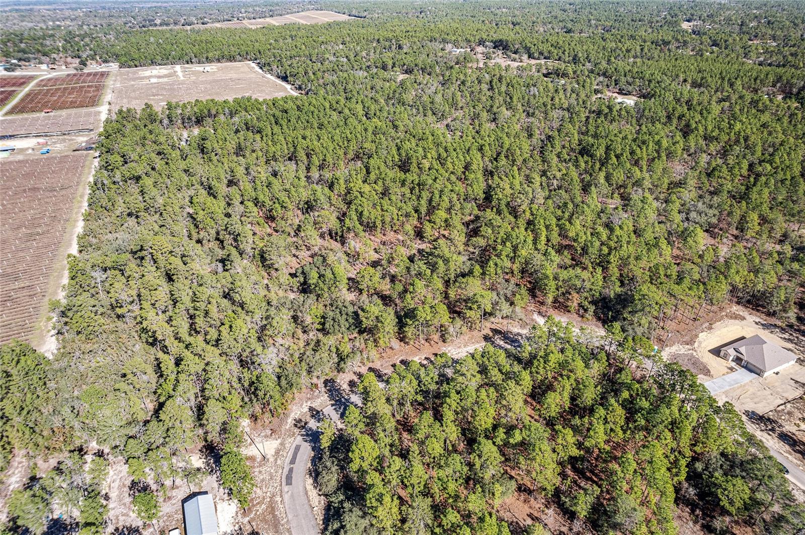 Image 6 of 6 For 8949 Farrington Drive