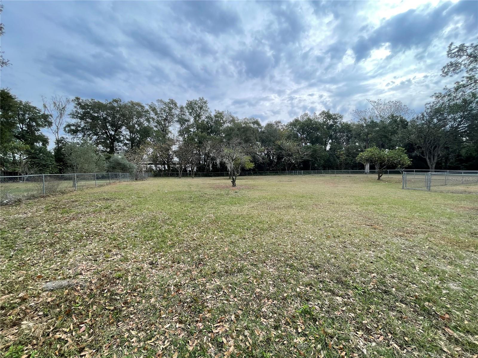 Image 28 of 33 For 202 Warfield Avenue