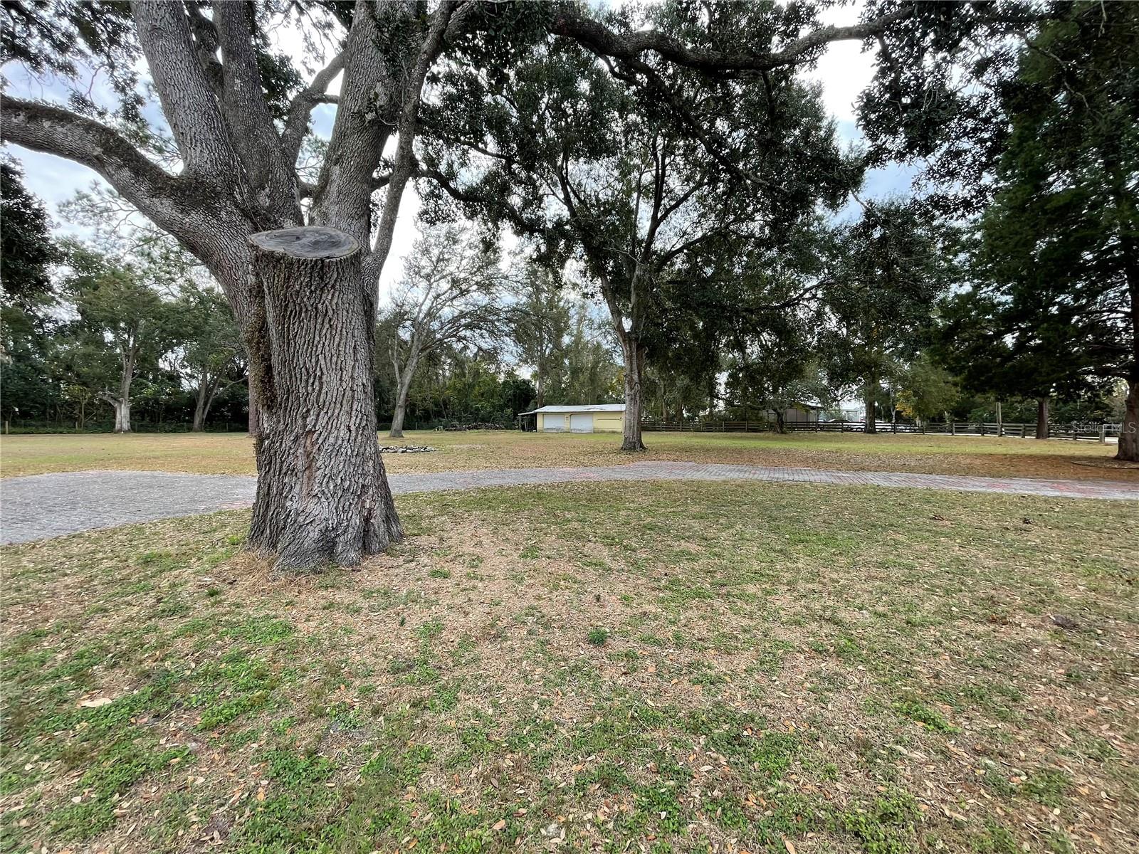 Image 29 of 33 For 202 Warfield Avenue