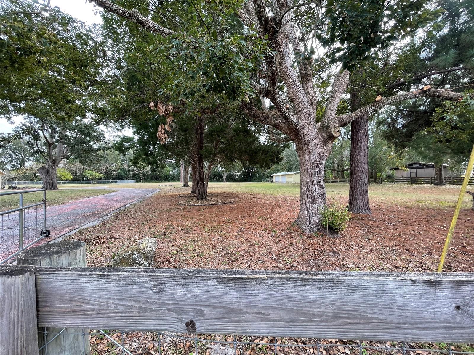 Image 31 of 33 For 202 Warfield Avenue