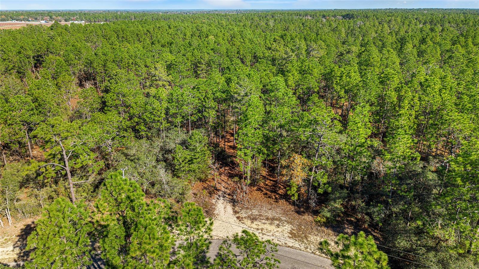 Image 2 of 10 For 8941 Farrington Drive